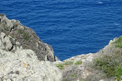 DSC00062