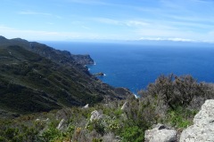 DSC00080