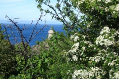 DSC00087