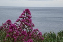 DSC00089