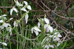 DSC00094